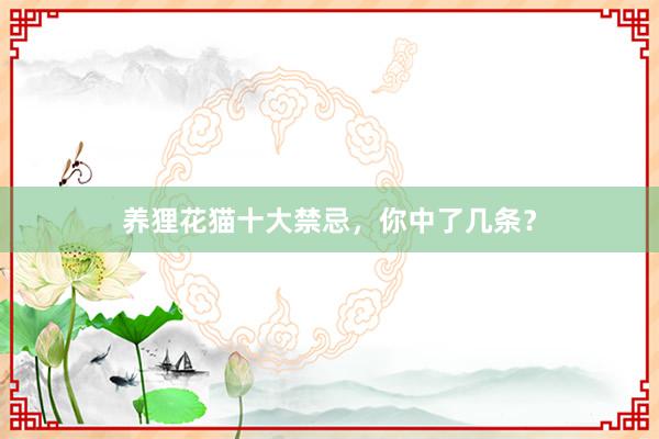养狸花猫十大禁忌，你中了几条？